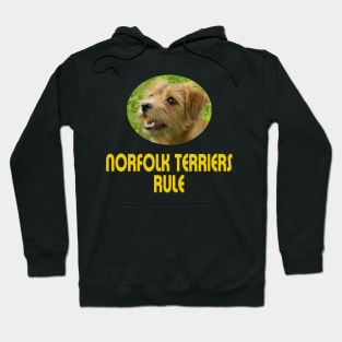 Norfolk Terriers Rule! Hoodie